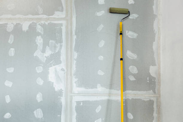 Best Dehumidification Services  in Hoffman Estates, IL