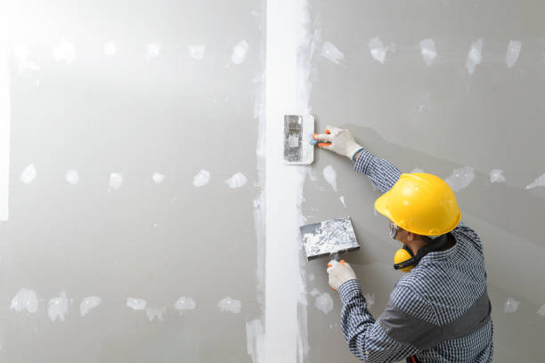 Best Mold Prevention Services  in Hoffman Estates, IL