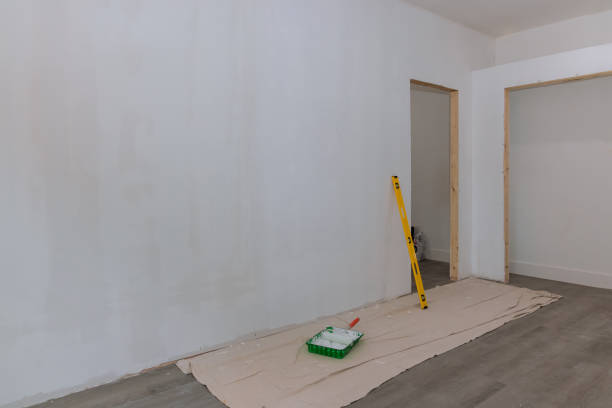 Best Biohazard Mold Removal  in Hoffman Estates, IL