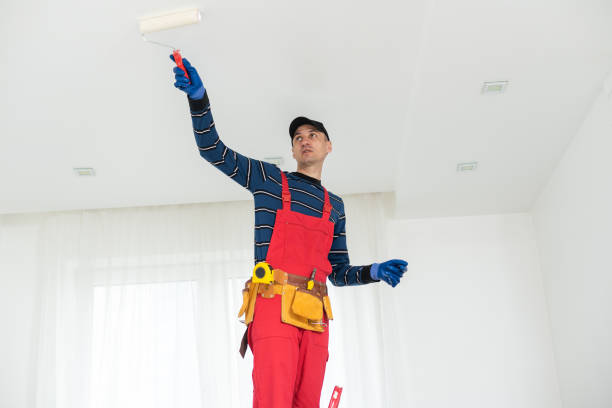 Best Forensic Mold Investigation  in Hoffman Estates, IL