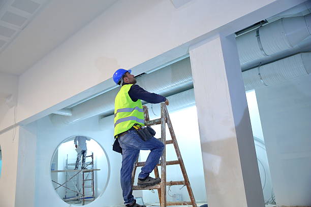 Best Crawl Space Mold Remediation  in Hoffman Estates, IL